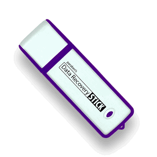 Data Recovery Stick for Windows: Professional Forensic File Restoration Tool