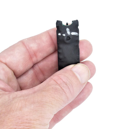 Custom-Built Voice-Activated Audio Recorder: Professional Long-Range Acoustic Monitoring