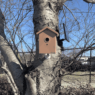 Live View Covert Outdoor Solar Bird Feeder Camera with WiFi, Night Vision, and DVR
