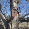 Live View Covert Outdoor Solar Bird Feeder Camera with WiFi, Night Vision, and DVR
