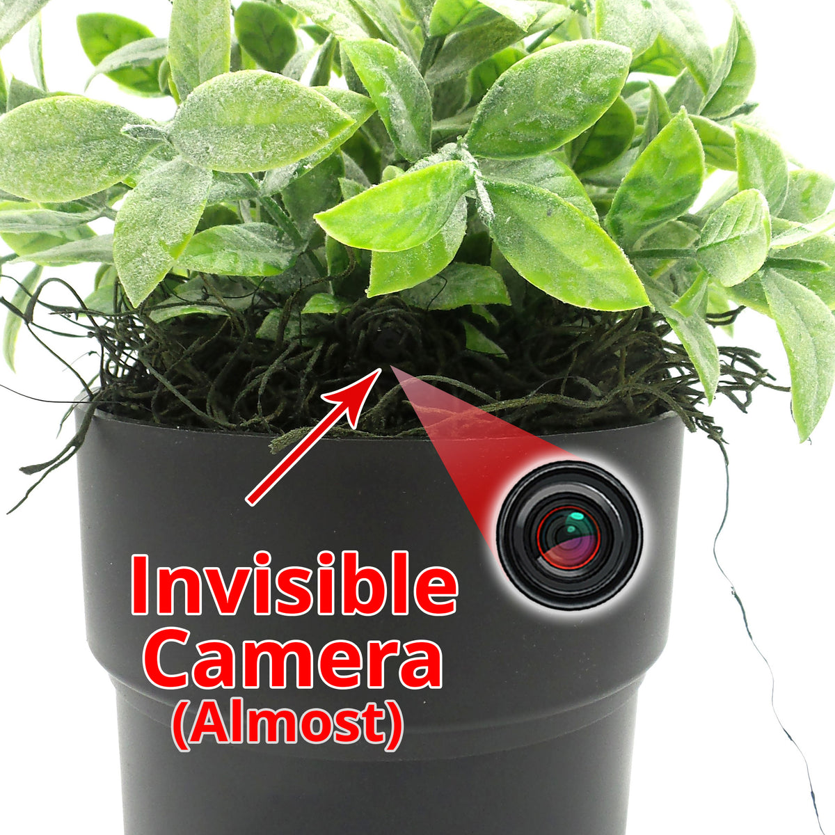 1080P HD Wi-Fi Decorative Plant Security Camera with 54-Hour Battery Life & 128GB Storage | Custom Assembled in USA