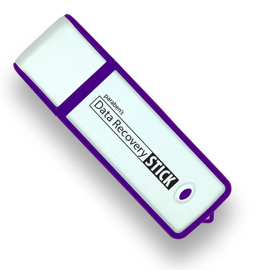 Data Recovery Stick for Windows: Professional Forensic File Restoration Tool