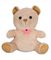 Battery Operated Spy Camera Teddy Bear W/ Motion Activated DVR, Live View WiFi