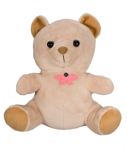Battery Operated Spy Camera Teddy Bear W/ Motion Activated DVR, Live View WiFi