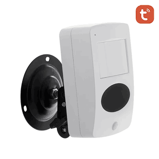 Hidden Spy Camera WiFi Dummy PIR Motion Sensor Nanny Camera