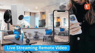 Hidden Spy Camera WiFi Dummy PIR Motion Sensor Nanny Camera