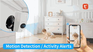 Hidden Spy Camera WiFi Dummy PIR Motion Sensor Nanny Camera