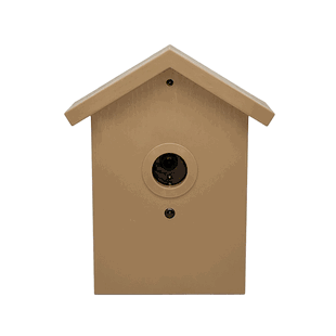 Live View Covert Outdoor Solar Bird Feeder Camera with WiFi, Night Vision, and DVR