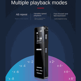 Password protected Spy Audio Recorder Voice Activated Hidden Device