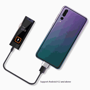 Voice Activated Audio Recorder | 24 Hour Continuous Battery | 8 GB Storage | Password Protected | Date and Time Stamp