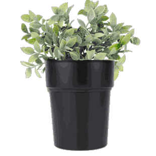 WiFi Hidden Camera w/ Audio Plant/Flower Pot Spy/Nanny Cam Motion Activated with Long Battery Life - Custom Made In House in the USA