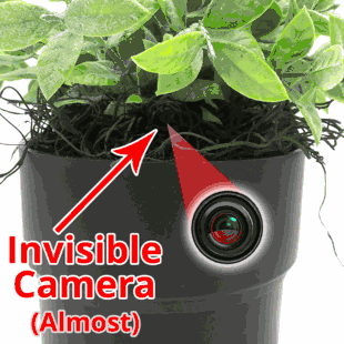 WiFi Hidden Camera w/ Audio Plant/Flower Pot Spy/Nanny Cam Motion Activated with Long Battery Life - Custom Made In House in the USA